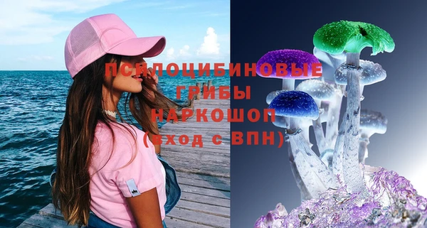 мет Алексин