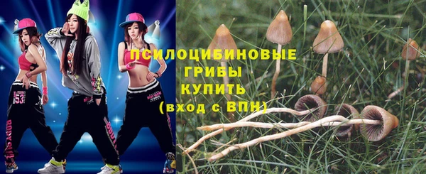 не бодяженный Алзамай