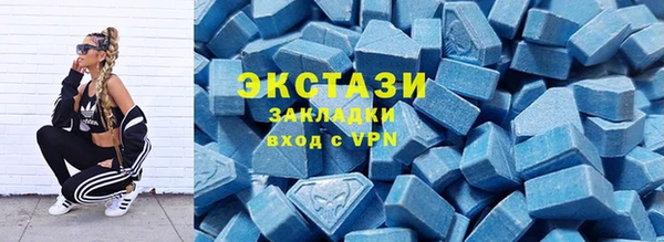 мет Алексин