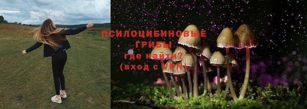 соль курить ск Аркадак