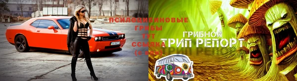 соль курить ск Арсеньев