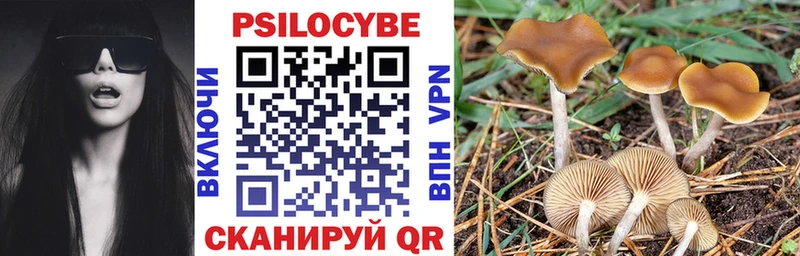 Купить Медногорск Псилоцибиновые грибы MAGIC MUSHROOMS